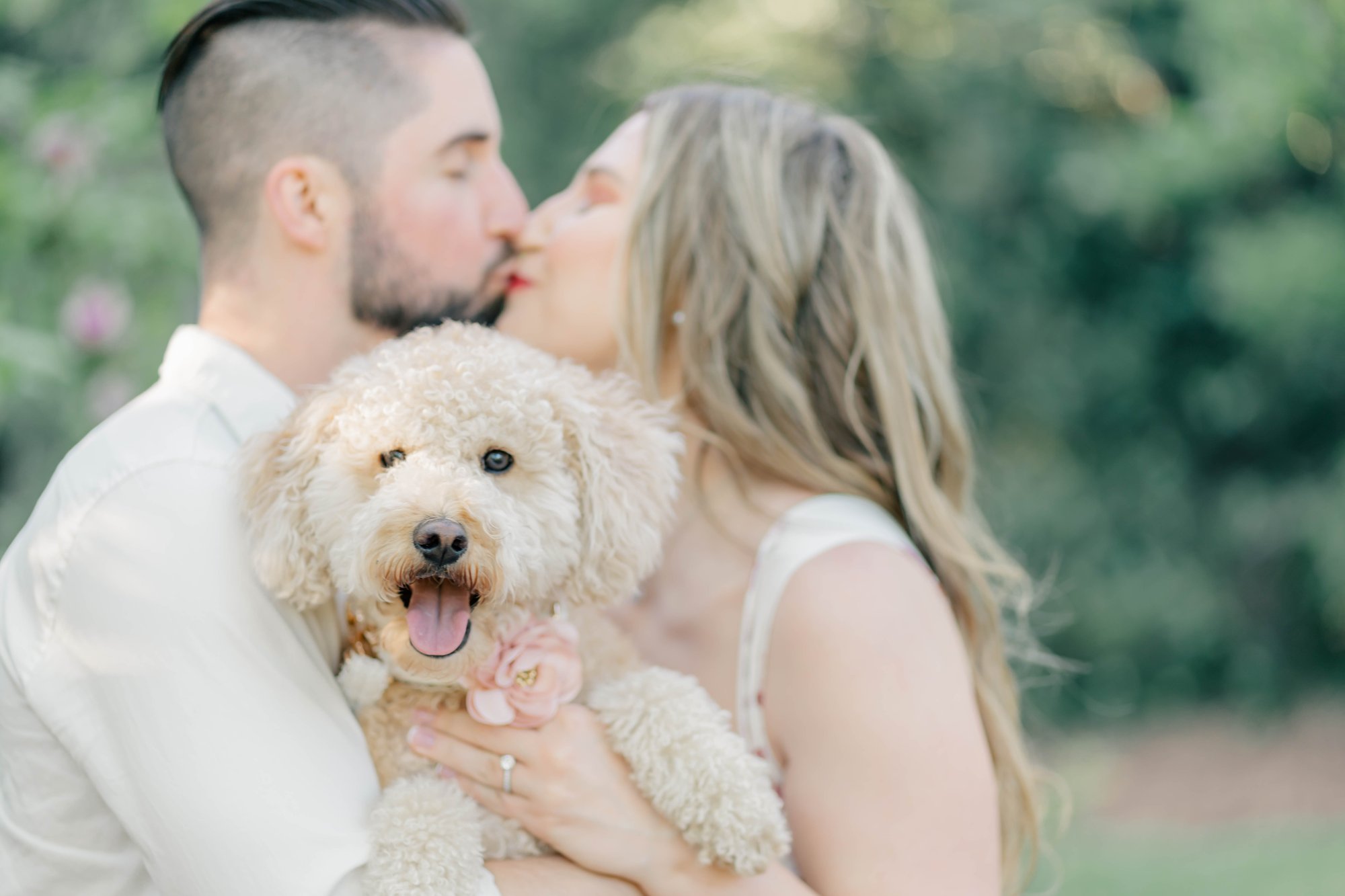 Engagment photo session of an engagemed couple with their dog at the National Arboretum captured by Stephanie Grooms Artistry