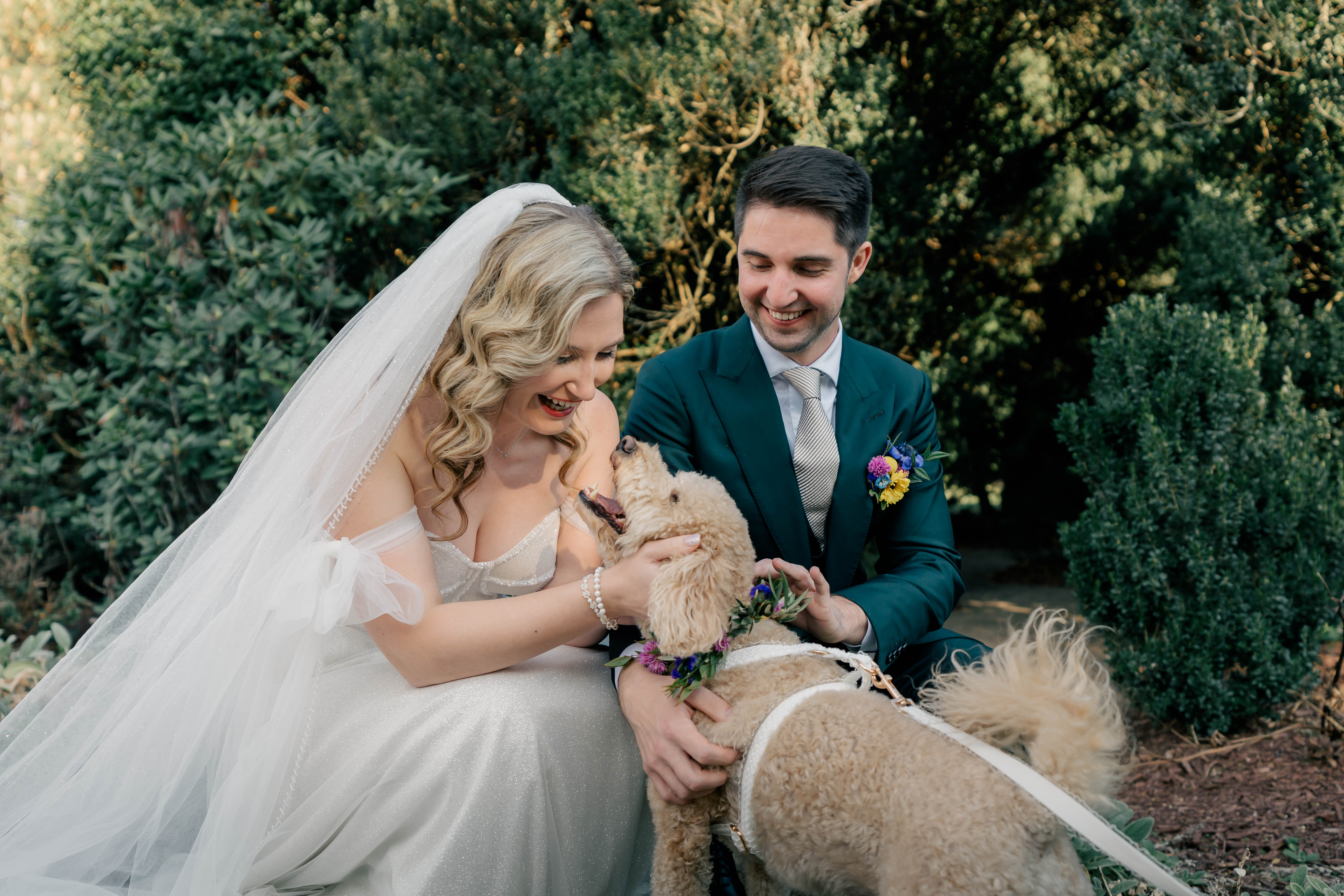 bride and groom with pet